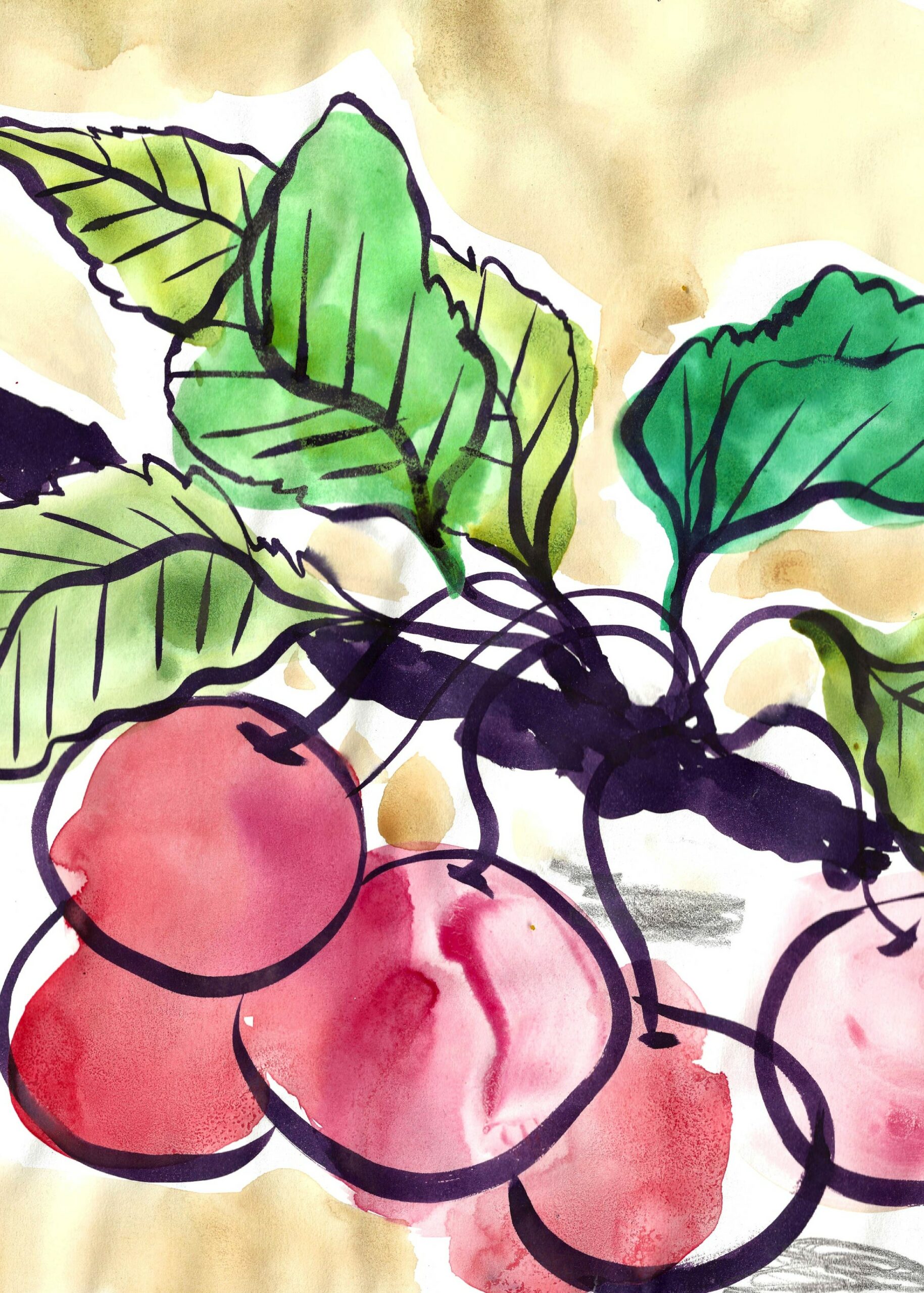 Illustration EDEN_CamilleChastang_siteinternet